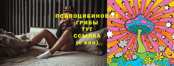 мдпв Нея