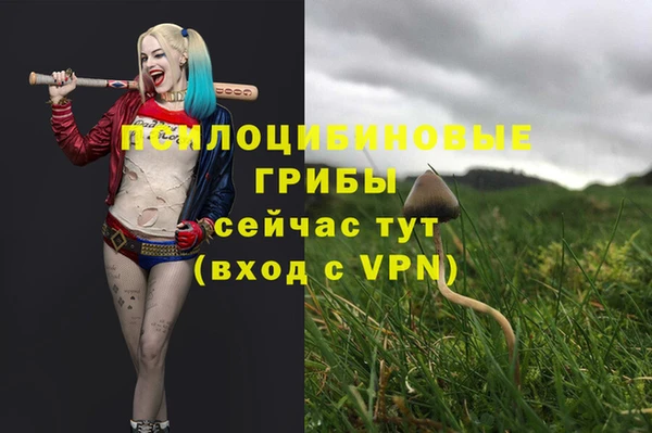 молекула духа Новодвинск