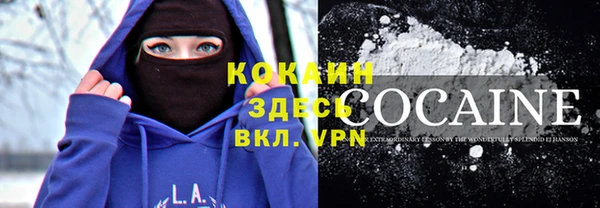 мдпв Белокуриха