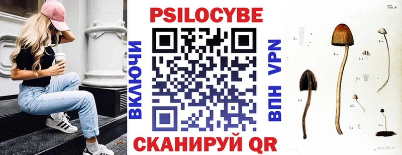 Галлюциногенные грибы Cubensis  Алексеевка 