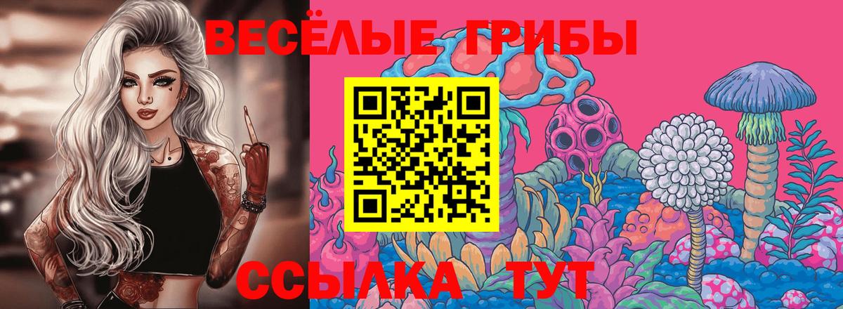 Алексеевка  Галлюциногенные грибы GOLDEN TEACHER  Вход с VPN 