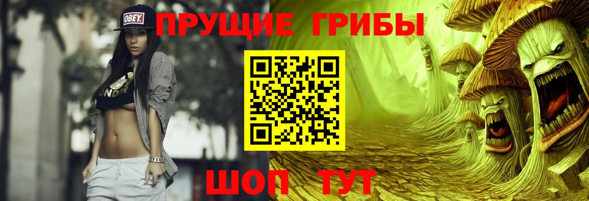 Псилоцибиновые грибы Psilocybine cubensis Алексеевка