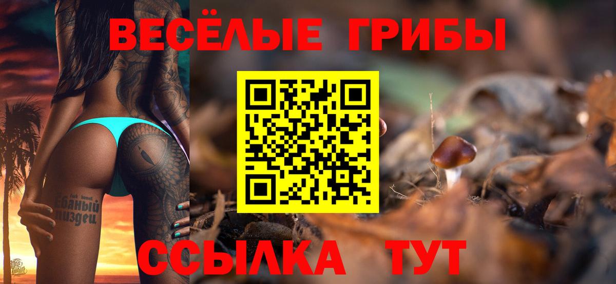 Галлюциногенные грибы GOLDEN TEACHER  Алексеевка 