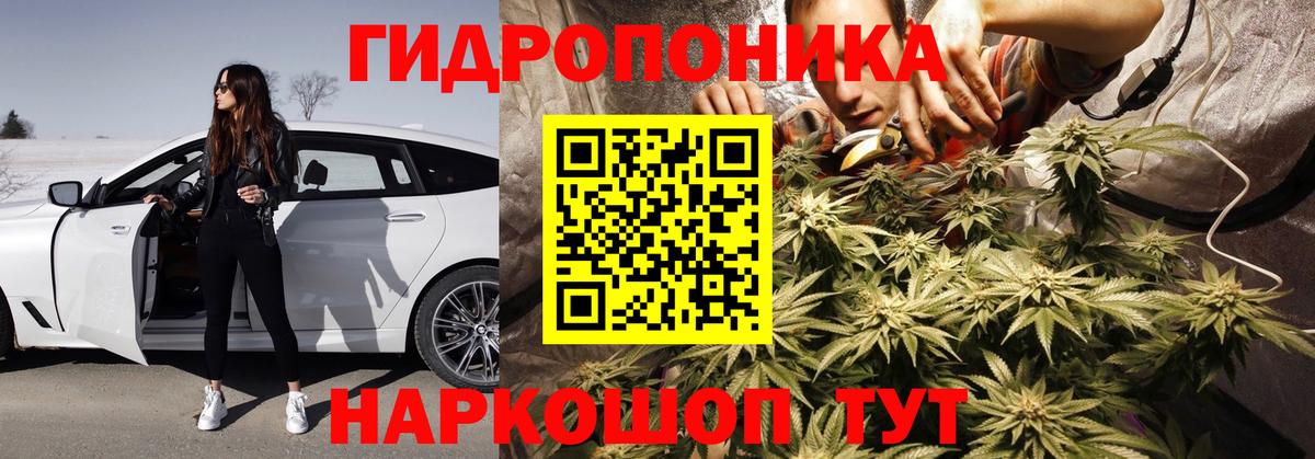 Бошки марихуана гибрид Алексеевка